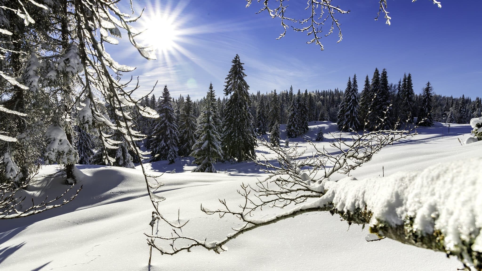 SogI_190108_SB-Station-des-Rousses-scaled-e1668502780839