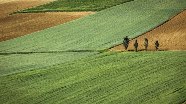 Terrains agricoles